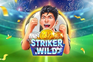 05111 striker wild