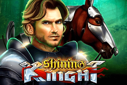 09016 shining knight