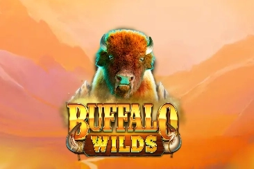 22010 buffalo wilds